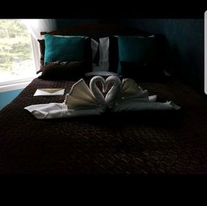 Meet your Posher, Monique